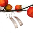 Rectangle Zen Forest Earrings Silver