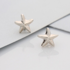 Mini Starfish Studs Silver-jewellery-The Vault