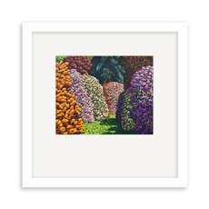 K Maughan Cambridge Framed Print-artists-and-brands-The Vault