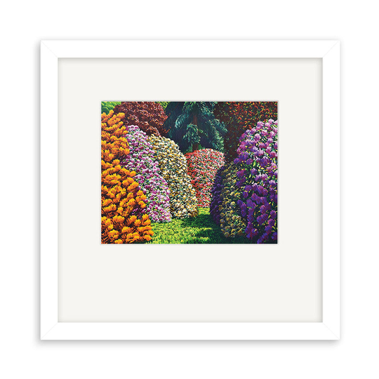 K Maughan Cambridge Framed Print