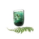 Glass Tumbler Green Black