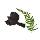 Flying Fantail Wall Art Black