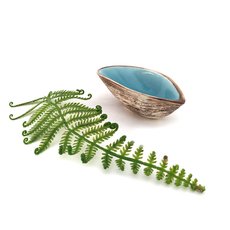 Mini Mussel Shell Dip Bowl Aqua-artists-and-brands-The Vault