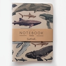 Notebook Marine