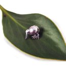 Kiwi Pin Silver