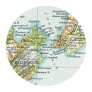 Vintage Map of Cook Strait Placemat Single