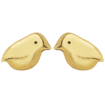 Rock Wren Bird Studs Gold