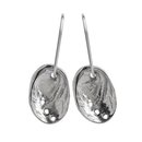 Baby Paua Earrings Silver