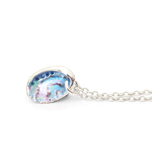 Paua Shell Necklace