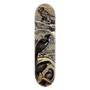 Skate Deck Tuatara Stamp