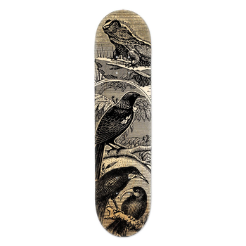 Skate Deck Tuatara Stamp