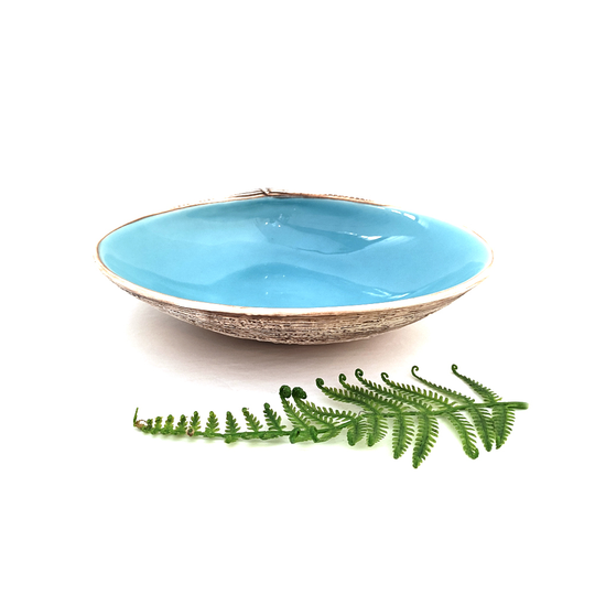 McGlashen Pipi Shell Bowl Aqua