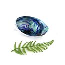 Flame Daisy Glass Paua Baby