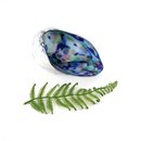 Glass Paua Shell Bowl Baby