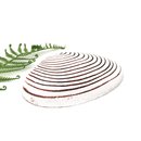 Toheroa Shell Wall Hanging