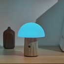 Mini Alice Mushroom LED Light White Ash