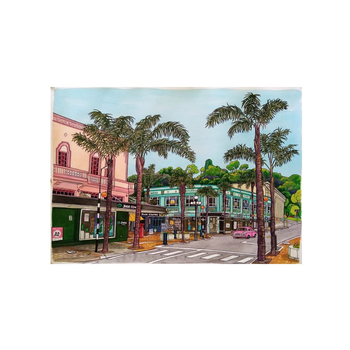 Emerson Street Napier A4 Print