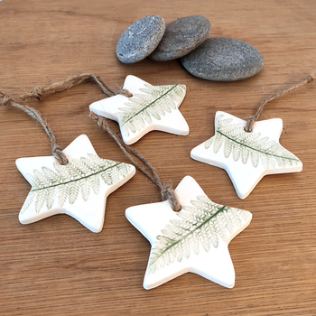 Hanging Star Fern Pattern Green