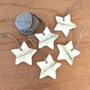 Hanging Star Fern Pattern Green