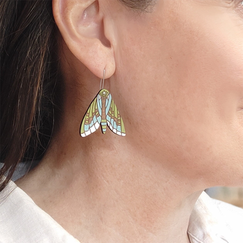 Puriri Moth Earrings