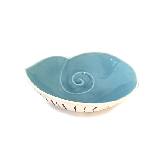 Nautilus Bowl Aqua Large