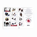 Native Birds Calendar 2024