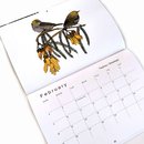 Native Birds Calendar 2024
