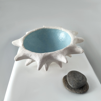 Urchin Bowl