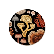 NZ Fungi Bolete Coaster Single-artists-and-brands-The Vault