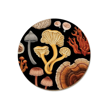 NZ Fungi Bolete Coaster Single