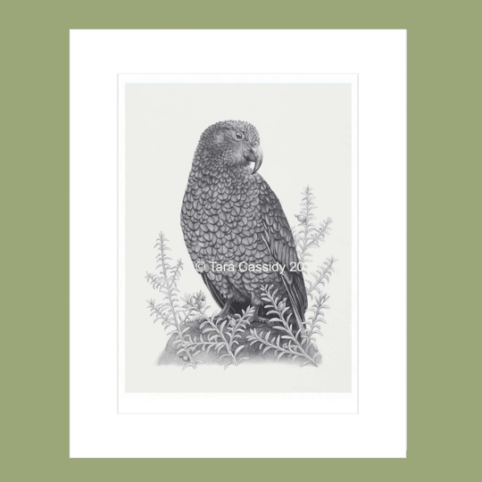 Tara Cassidy Kea Matted Foam Print A3