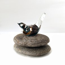 Glass Tui Blue Brown-art-The Vault