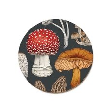 NZ Fungi Morchella Coaster Single-artists-and-brands-The Vault