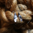 Kereru Earrings Silver
