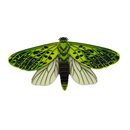 Puriri Moth Flying Wall Art 3D Laser Cut Painted