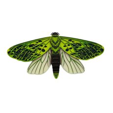 Puriri Moth Flying Wall Art 3D Laser Cut Painted-art-The Vault