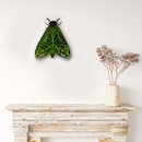 Puriri Moth Wall Art 3D Laser Cut Painted