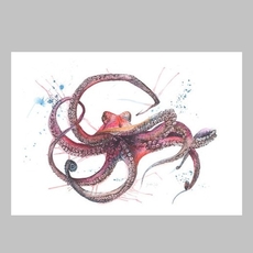 Octopus Limited Edition Print A3-artists-and-brands-The Vault