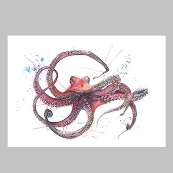 Octopus Limited Edition Print A3