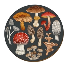 NZ Fungi Morchella Placemat Single-artists-and-brands-The Vault