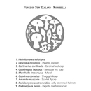 NZ Fungi Morchella Placemat Single