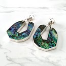 Paua Drama Earrings Abstract Shape