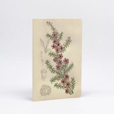 Botanical Illustration Notebook-artists-and-brands-The Vault