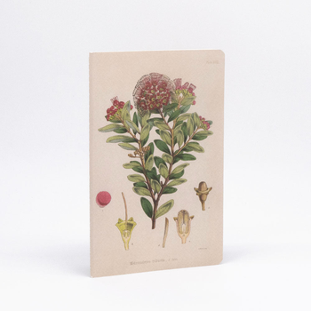 Botanical Illustration Notebook