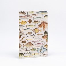 Fish Illustration Notebook-artists-and-brands-The Vault