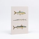 Fish Illustration Notebook