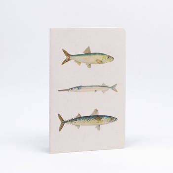 Fish Illustration Notebook