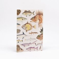 Fish Illustration Notebook-artists-and-brands-The Vault