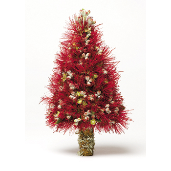 Tradisi Natal di Berbagai Negara 223_350_350.jpg (350×350)