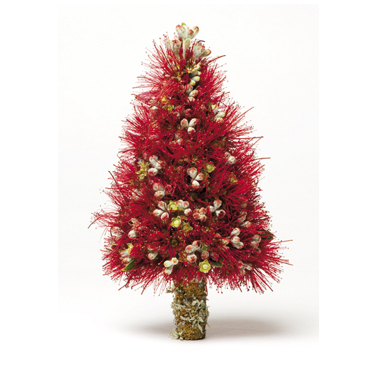 Pohutukawa Xmas Tree Card